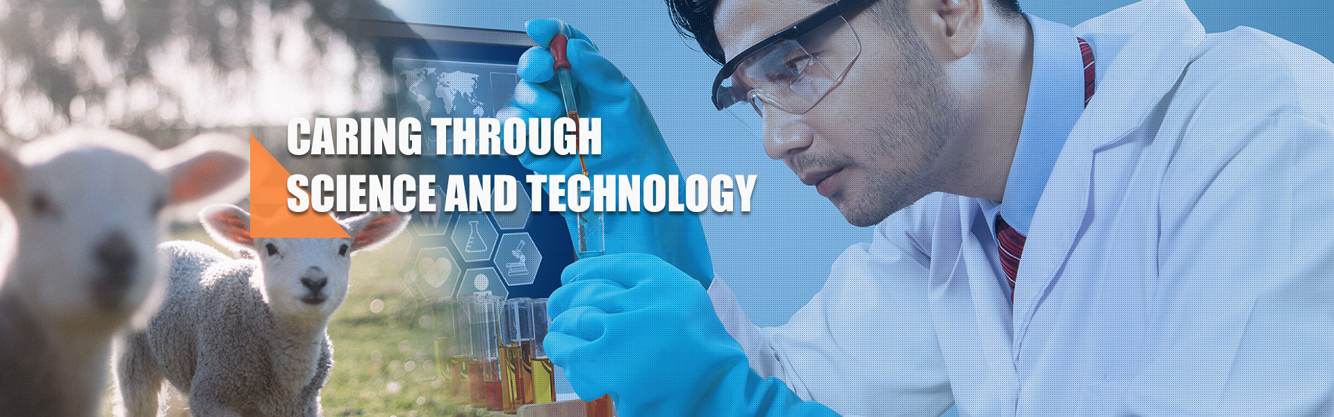 Qilu Animal Health Products Co.,Ltd