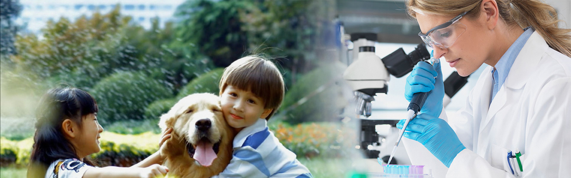 Qilu Animal Health Products Co.,Ltd